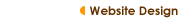 Website Design Services